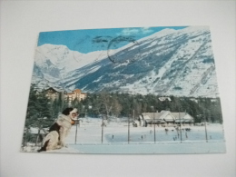 Pista Pattinaggio Smith Bardonecchia Cane Dog San Bernardo - Patinaje Artístico