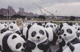 Taiwan - Paper Panda Show At Dajia Riverside Park, Taipei City - Taiwan