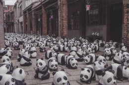 Taiwan - Paper Panda Show At Bopiliao Historic Block, Taipei City - Taiwan