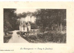 Cpa La Chataigneraie Etang De Jourdain - La Chataigneraie