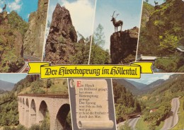 BF29858 Dee  Hieschsprung Im Hollental Germany  Front/back Image - Höllental