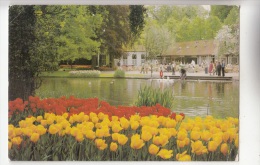 BF29881 Keukenhof Lisse Holland Netherland  Front/back Image - Lisse