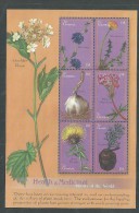 Gambie N° 3432 / 37 XX Flore : Plantes Médicinales ( II ), Les 6 Valeurs Se Tenant En Petite Feuille, Sans Charnière, TB - Gambie (1965-...)