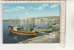 PO7748C# FOGGIA - MANFREDONIA - PORTO BARCHE PESCA  No VG - Manfredonia