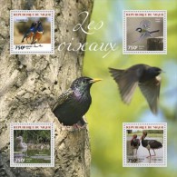 Niger. 2014 Birds. (311a) - Picotenazas & Aves Zancudas