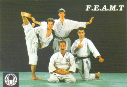 Carte Postale "Cart'Com" (1996) - Fédération Européenne Des Arts Martiaux  Traditionnels (judo, Karaté) - Martial