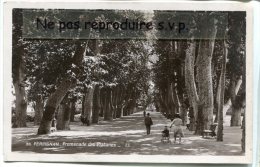 - 36 - PERPIGNAN - Promenade Des Platanes, Animation, Enfant, Poussette, Petit Format, écrite, TBE, Scans.. - Perpignan