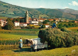 64 - Aïnhoa, Village Typique, Travaux Des Champs - Ed Yvon ( Attelage Boeufs ) - Ainhoa