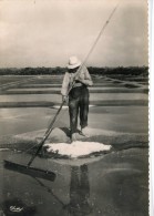 CPSM 44 BATZ SUR MER MARAIS SALANT PALUDIER AU TRAVAIL 1958  Grand Format 15 X 10,5 - Batz-sur-Mer (Bourg De B.)