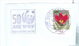 BRD BZ 10 MWST 2012 50 Jahre WWF Pandabär Mi. 2971 Blume Kuhschelle Briefausschnitt - Storia Postale