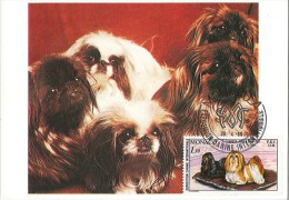 CM Monaco - Exposition Canine Internationale - Lhassa - 1980 - Cartes-Maximum (CM)