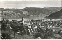 Unterägeri - Dorf Gegen Aegerisee            1953 - Unterägeri