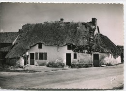 CPSM 44 ENVIRONS DE GUERANDE LA BRIERE TYPE DE MAISON A TOIT DE CHAUME  Grand Format 15 X 10,5 - Guérande