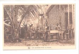 KWANGO - Mission Des R.r. P.p. Jesuites Au Kwango - Les Candidats - Freres Au Travail - Belgian Congo