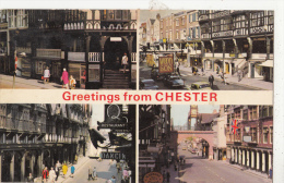 BF30418 Chester  Multi Views UK   Front/back Image - Chester