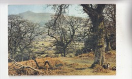 BF30663 Brecon Landscape Uk  Front/back Image - Breconshire