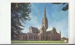 BF30683 Salisbury Cathedral UK  Front/back Image - Salisbury