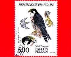 FRANCIA - 1984 - Usato -  Uccelli Rapaci Diurni - Falco P. Peregrinus - Faucon Pelerin - 5.00 - 1982-1990 Vrijheid Van Gandon