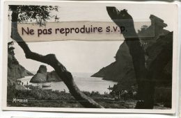 - 2155 - LA CIOTAT - La Calanque De Figuerolle, Peu Courante, Barques De Pêcheurs, Non écrite, Petit Format, TBE, Scans. - La Ciotat