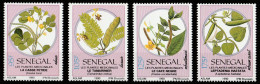 1990 Senegal Piante Medicinali Medicinal Plants Plantes Médicinales Set MNH**-Zz9 - Plantes Médicinales