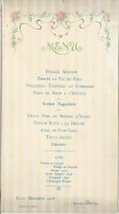 Menu/ Berrier Et Milliet/ LYON/1908      MENU74 - Menú