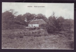 Carte Postale - SCHILDE - Zicht Op De Heide - Cachet Relais  - CPA   // - Schilde