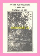CPM  CHATEAUVILLAIN  6eme Foire Aux Collections , Dessin  De Mongin - Chateauvillain