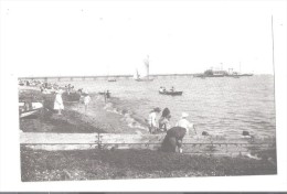 THE PIER WORTHING 1903  WEST SUSSEX LIBRARY REPRO UNUSED SMALL SIZE POSTCARD - Worthing