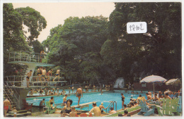 CPM - 17102-Costa Rica - Ojo De Agua - Balneario-Envoi Gratuit - Costa Rica