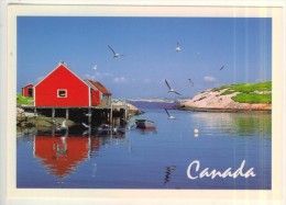 Canada L'Anse Du Poète Sur Le Golfe SAINT-LAURENT   BE - Cartes Modernes