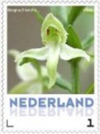 Nederland  2013-9  Ucollect Orchidee Bergnachtorchis  Postfris/mnh/neuf - Ongebruikt