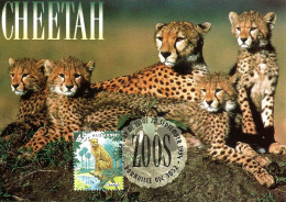 AUSTRALIA FDC MAXICARD CHEETAH ANIMAL 1 STAMP OF 45c VALID FOR POSTAGE WORLD ISSUED 28-09-1994 CTO READ DESCRIPTION!! - Covers & Documents