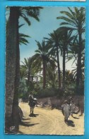 C.P.A. Dans L' Oasis En Ane - Envoyée De Fort Trusquel En Mauritanie En 1957 - Mauritanië