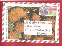 Y&TN°PA301  NOUMEA      Vers      FRANCE  Le    1993 - Lettres & Documents