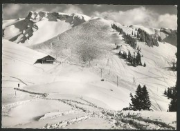 KLEWENSTOCK Skihaus Klewenalp Beckenried 1963 - Beckenried