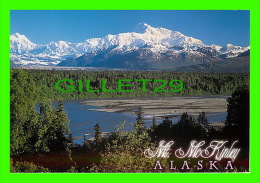 TALKEETNA, ALASKA  - MT. McKINLEY VIEW FROM THE SOUTH SIDE - ARTIC CIRCLE ENTERPRISES - - Fairbanks