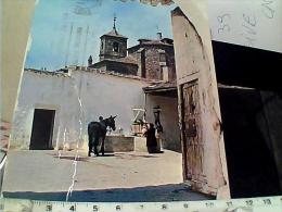 ESPANA ALBACETE LA MANCHA  SCORCIO E MULO  DONNA AL POZZO V1970 EM9286 - Albacete