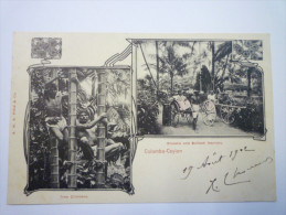 COLOMBO-CEYLON  :  TREE  CLIMBERS  /  Ricksha And Bullock Hackery   1902 - Sri Lanka (Ceylon)