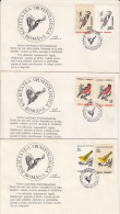 2262- BIRDS, WOODPECKER, ORIOLE, BULLFINCH, SPECIAL COVER, 3X, DIFFERENT WATERMARKS, 2000, ROMANIA - Pics & Grimpeurs