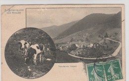 VALLEE DU VALTIN (Vosges) - La Ligne Bleue Des Vosges - Sonstige & Ohne Zuordnung