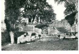 CPSM 84 BONNIEUX ESCALIER DU  CHATEAU PEU COURANTE - Bonnieux