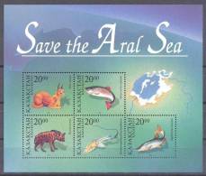 1996. Kazakhstan, Save Of Aral See, S/s, Mint/** - Kazakhstan