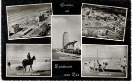 Pays-Bas - Zandvoort - Multivue - Zandvoort