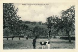 BELGIQUE - LIEGE - HERVE - Paysage Vu Du Plateau De HERVE (animation Homme Avec Vache) - Thimister-Clermont