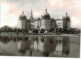 Allemagne - Museum Schloss Moritzburg (Falte In Der Mitte) - Moritzburg