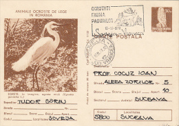 2464- BIRDS, EGRET, POSTCARD STATIONERY, 1978, ROMANIA - Pellicani