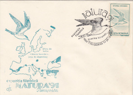 2472- BIRDS, COMMON TERN, SPECIAL COVER, 1991, ROMANIA - Palmípedos Marinos