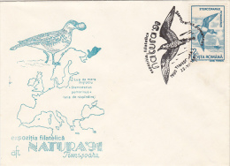 2473- BIRDS, POMARINE SKUA, SPECIAL COVER, 1991, ROMANIA - Albatros