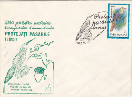 2482- BIRDS, WHITE HEADED HOOD HOOPOE, SPECIAL COVER, 1992, ROMANIA - Climbing Birds