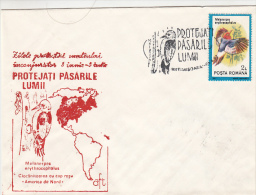 2487- BIRDS, RED HEADED WOODPECKER, SPECIAL COVER, 1992, ROMANIA - Climbing Birds